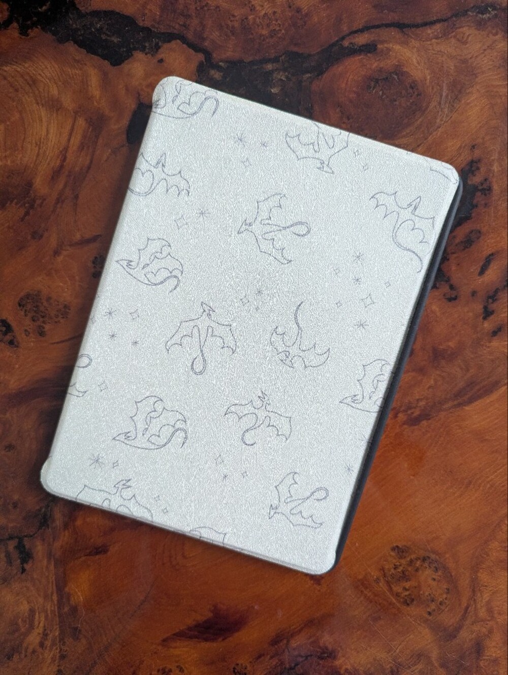 Kindle Cover